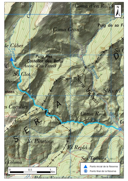 Detalle mapa Torrent de Massanella 2