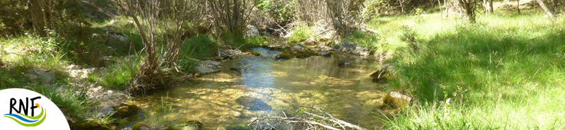 Reserva natural fluvial del río Almagrero
