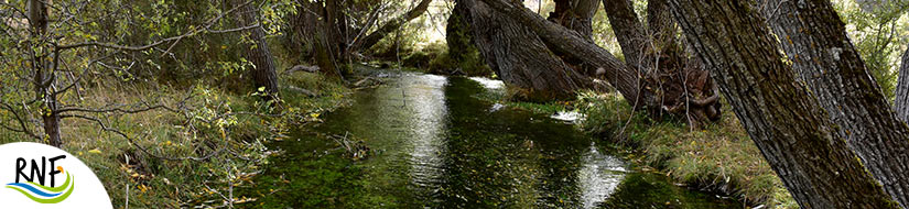 Reserva natural fluvial Cabecera del río Júcar 