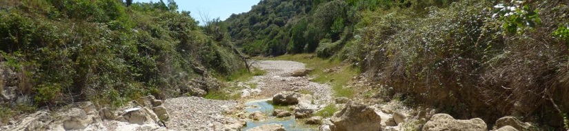 Reserva natural fluvial del río Cenia
