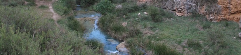 Reserva natural fluvial del río Ebrón