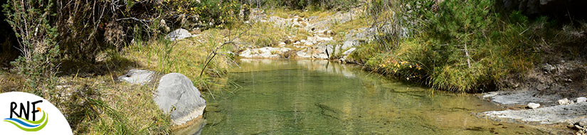 Reserva natural fluvial río Monleón