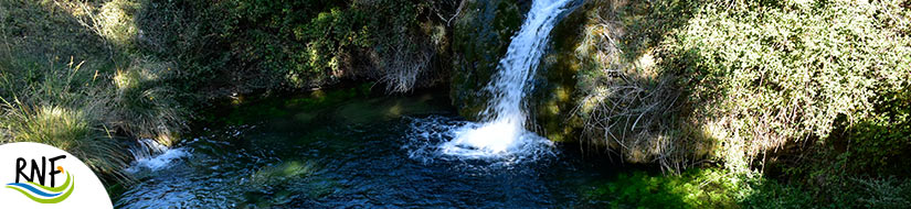 Reserva natural fluvial río Palancia