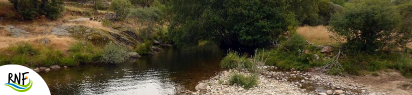 Reserva Natural Fluvial Río Bibey I