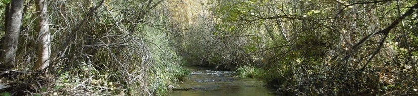 Reserva natural fluvial Río Zumeta (desde su nacimiento hasta el Embalse de la Novia)