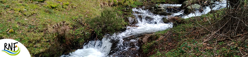 Reserva natural fluvial Arroyo Canencia