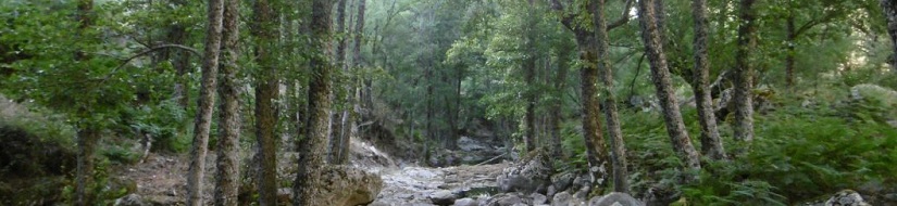 Reserva natural fluvial de la Garganta Iruelas
