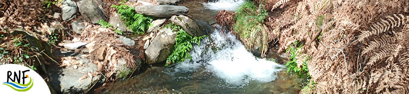 Reserva Natural Fluvial del Río Árrago 
