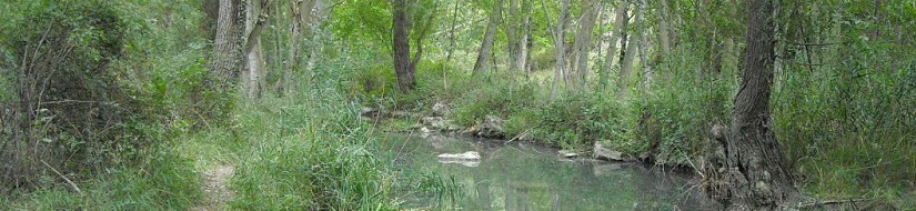 Reserva natural fluvial del río Dulce