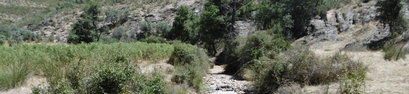 Reserva natural fluvial del río Gualija