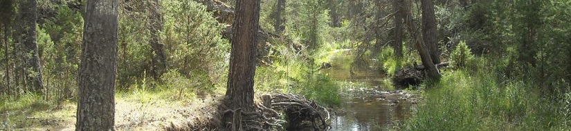 Reserva natural fluvial del río Hozseca