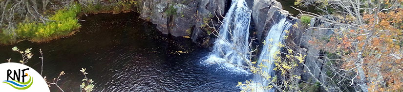 Reserva Natural Fluvial del Río Sorbe

