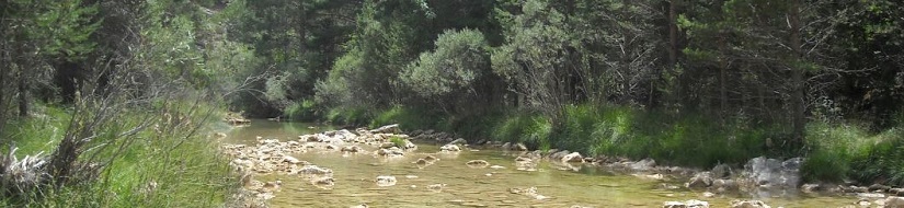 Reserva natural fluvial del río Tajo