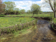 Arroyo Hija de Dios, Avila