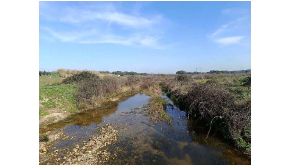 Proyecto recuperacion Arroyo Albarregas