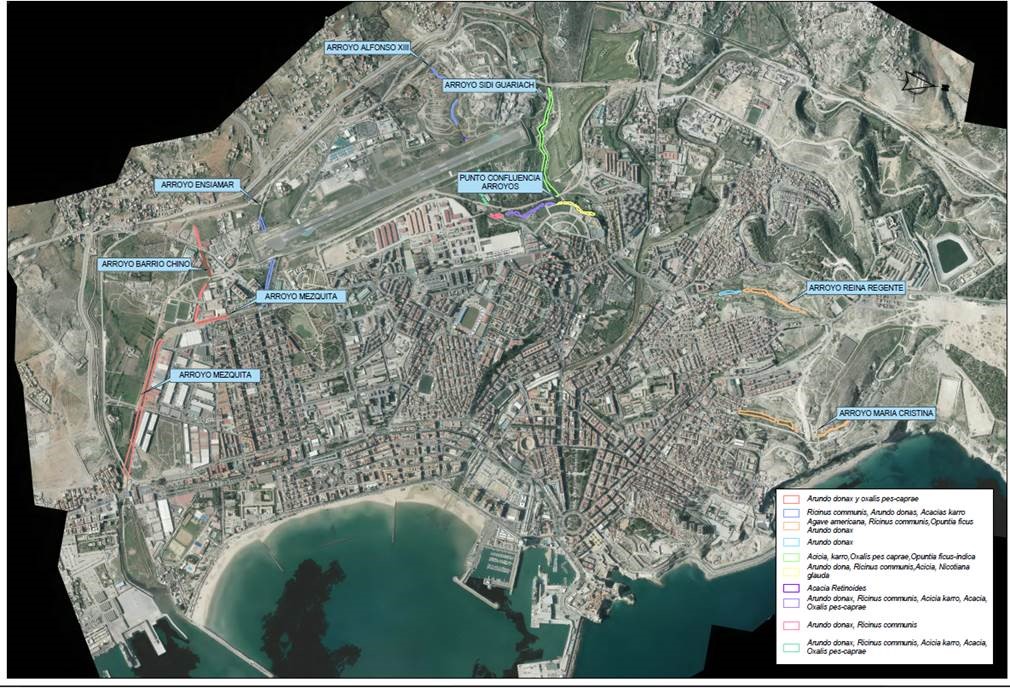 Proyecto restauracion fluvial rio del Oro y del arroyo Farhana
