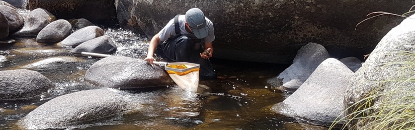 Estado y calidad de las aguas: Instrucciones, guías y protocolos de medida y toma de muestras