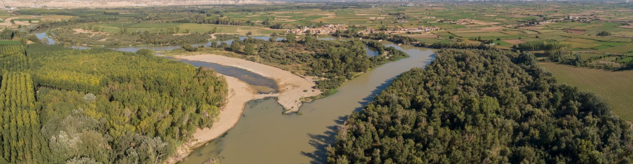 Cauce de alivio en el río Ebro en Alcalá de Ebro