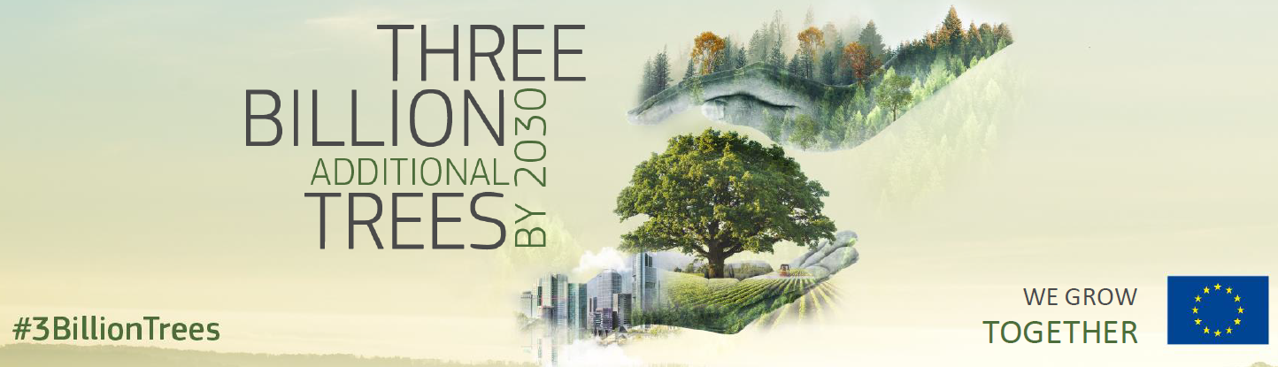 Three Billion Trees