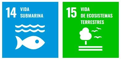 Objetivos de Desarrollo Sostenible