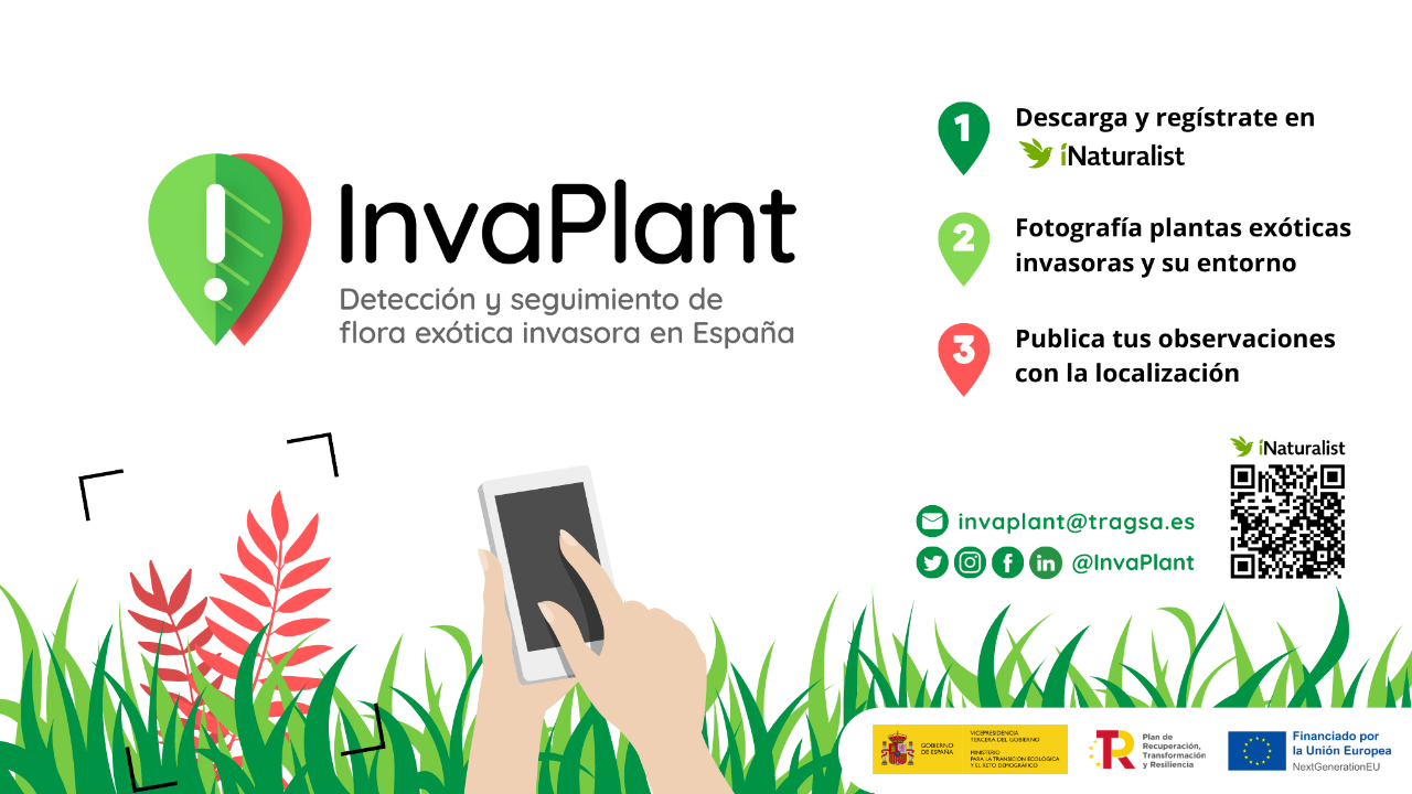 Banner InvaPlant - 1