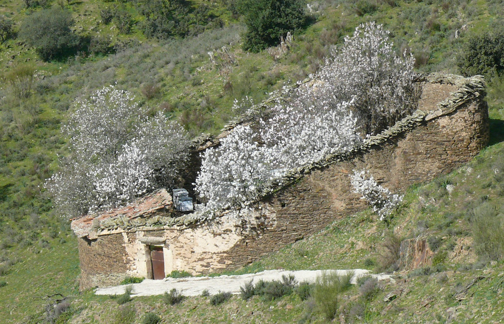Cortín o muro para colmenas en Garrovillas de Alconétar. Fotografía: Rubén Moreno-Opo. MITECO