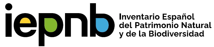 logotipo_iepnb_web