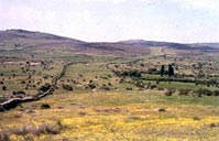 Vista de una vía pecuaria