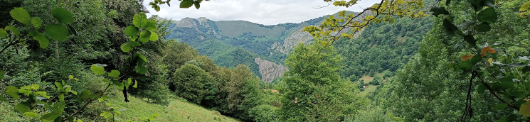 Parque Natural de Redes