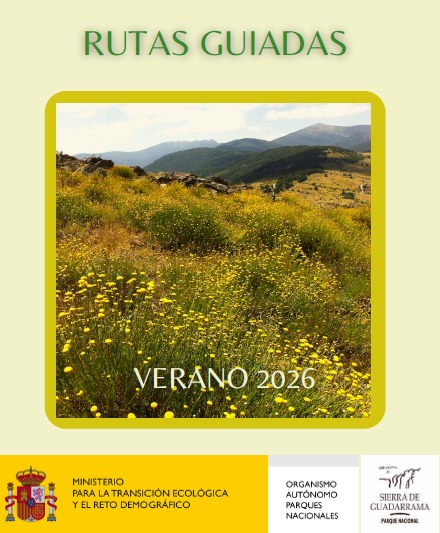 Rutas guiadas y excursiones didácticas - Verano 2026