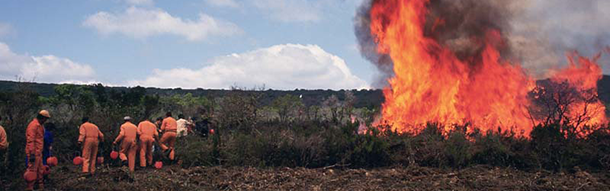 Reten de Incendios [J.C.Molina / CENEAM]