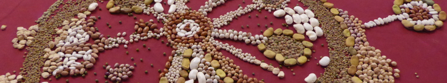 Cabecera Biblioteca de Semillas