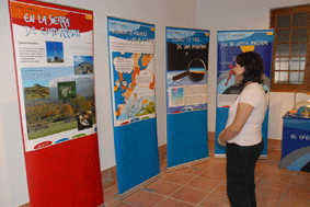 Chica viendo exposición