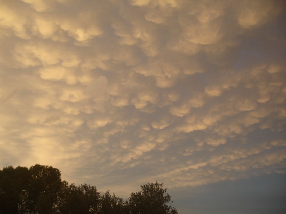 EL SOL DESPIERTA ENTRE ALGODONES