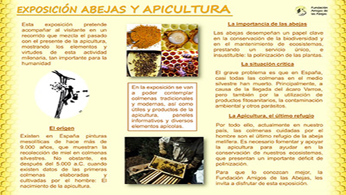 Exposición Abejas y apicultura