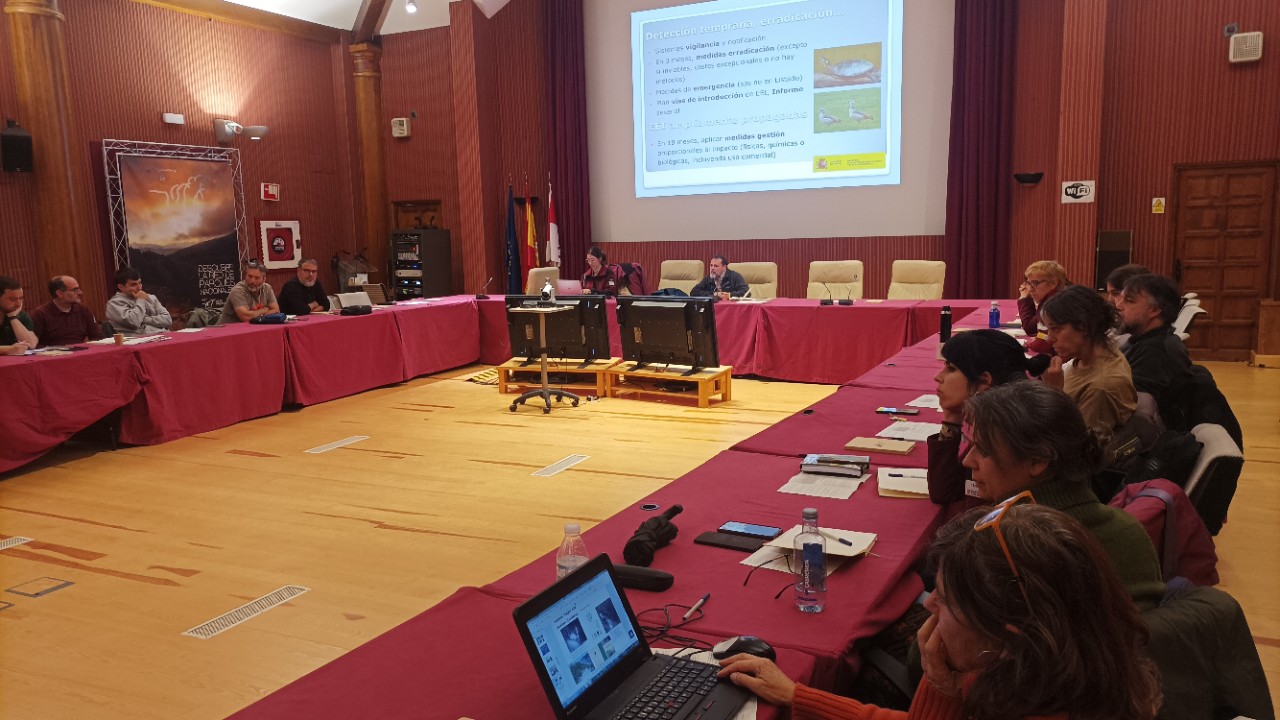 XIV Seminario de seguimiento de la Red