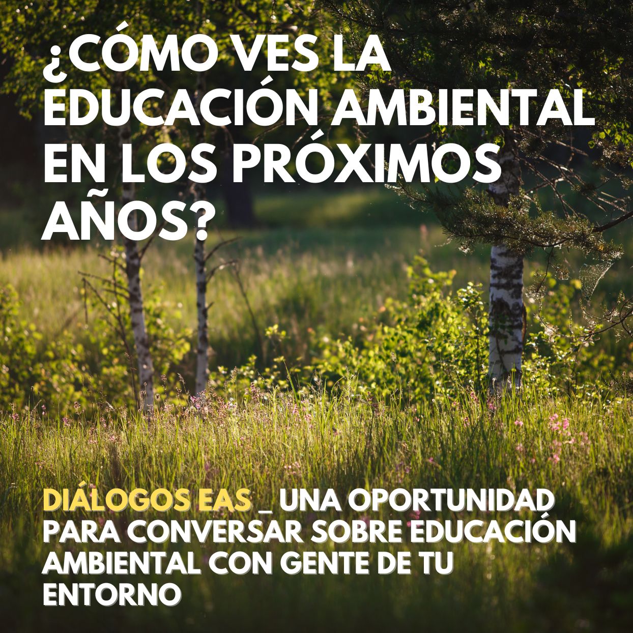 ¿Cómo ves la educación ambiental en los próximos años?
