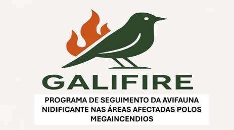 Galifire