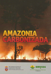 Carátula del vídeo Amazonía carbonizada