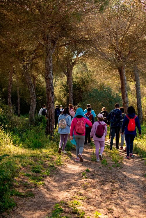 Activos para la salud