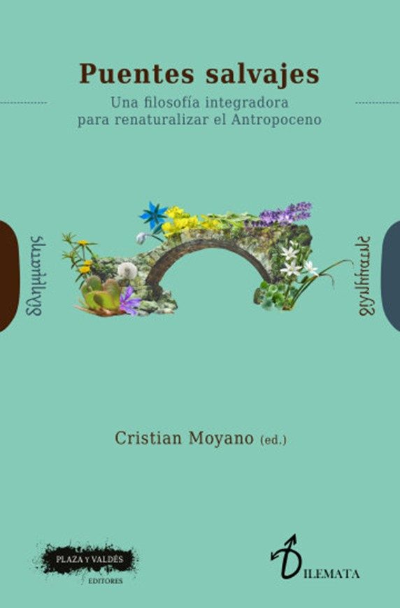 Puentes salvajes