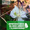 Importancia social del medio ambiente y la biodiversidad