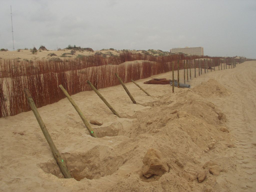Restauracion del ecosistema dunar de Guardamar del Segura, tramo muelle de La Mata-Playa del Moncayo