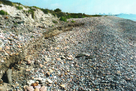 Proyecto de reparación de la mota de protección del Marjal dels Moros; t.m. de Sagunto