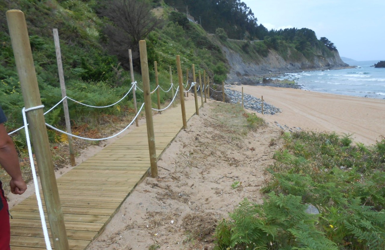 Playa de Laga. Restauración dunar y de accesos