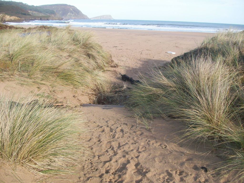 Playa de San Román. Duchas, pasarelas y servicios