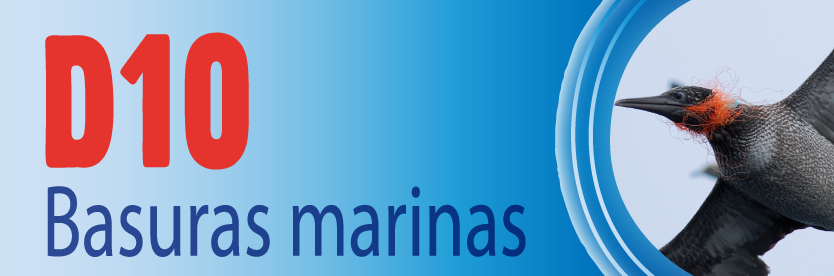Descriptor 19 - Basuras marinas