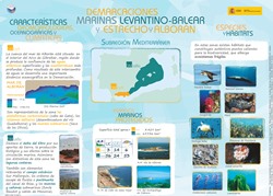 Región mediterránea (ES)