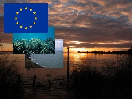 Composición con imágenes de litoral y bandera de UE