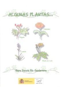 Portada del libro "Algunas plantas..."